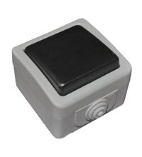 Intrerupator Lumen, aplicat, gri, IP54, 13-11501212