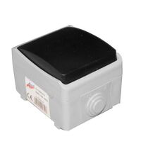 Intrerupator Lumen, cu revenire, gri, IP54, 13-13501213