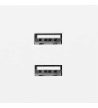 Priza modulara USB Orno, 2,1A, alb, 2M, Noen
