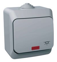 Intrerupator cu revenire Schneider, cu simbol si indicator luminos, aplicat, gri, IP44, Cedar Plus, WDE000616