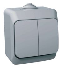 Intrerupator dublu Schneider, aplicat, gri, IP44, Cedar Plus, WDE000650
