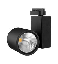 Proiector LED pe sina, 90mm, 2 fire, 30W, 4000K, negru, PD, Braytron
