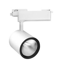 Proiector LED pe sina, 90mm, 2 fire, 30W, 4000K, alb, PM, Braytron