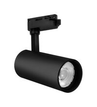 Proiector LED pe sina, 80mm, 2 fire, 30W, 4000K, negru, PB, Braytron