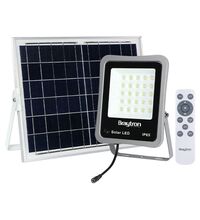 Proiector LED solar, cu telecomanda, gri, 50W, 6500K, IP65, Braytron, BT63-01532