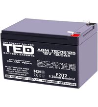 Acumulator 12V, AGM, VRLA, F2 / T2, 12.5A, TED12125