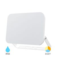 Proiector LED, alb, 100W, CCT, IP65, Braytron, BT60-59180