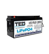 Acumulator 25V, BMS, bluetooth, LiFePo4, M8, 100A, TED007445