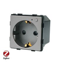 Modul priza inteligenta Zigbee Tuya, gri, Luxion