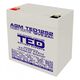 Acumulator 12V, AGM, VRLA, High Rate, F2 / T2, 12.05A, TED1252