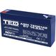 Acumulator 6V, AGM, VRLA, F2 / T2, 14.2A, TED6142