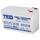 Acumulator 12V, AGM, VRLA, High Rate, F2 / T2, 12.05A, TED1296