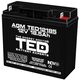 Acumulator 12V, AGM, VRLA, F2 / T2, 18.5A, TED12185