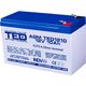 Acumulator 12V, AGM, VRLA, F2 / T2, 10A, TED1210