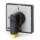 Placa ON-OFF Scame, cu maneta, gri-negru, de actionare separator, 51B2, 590.YM51B2