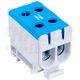 Clema de derivatie Tracon, 2P, fixare pe sina DIN, 50mmp, albastru, FLEAL-50/2K