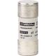 Siguranta fuzibila cilindrica Schneider, 22x58mm, gG, 690VAC, 80A, 80kA, DF2FN80