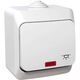 Intrerupator cu revenire Schneider, cu simbol si indicator luminos, aplicat, alb, IP44, Cedar Plus, WDE000516
