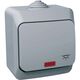 Intrerupator cu revenire Schneider, cu simbol si indicator luminos, aplicat, gri, IP44, Cedar Plus, WDE000616