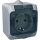 Priza 2P+E Schneider, cu capac transparent, aplicata, gri, IP44, Cedar Plus