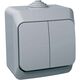 Intrerupator dublu Schneider, aplicat, gri, IP44, Cedar Plus, WDE000650