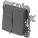 Mecanism intrerupator dublu TEM, cu revenire, incastrat, antracit, Logiq, SQ51ATXO