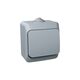 Intrerupator Schneider, aplicat, gri, IP44, Cedar Plus, WDE000610