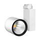 Proiector LED pe sina, 90mm, 2 fire, 30W, 3000K, alb, PD, Braytron