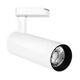 Proiector LED pe sina, 60mm, 2 fire, 15W, 4000K, alb, PB, Braytron