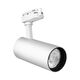 Proiector LED pe sina, 80mm, 2 fire, 30W, 3000K, alb, PB, Braytron