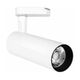 Proiector LED pe sina, 60mm, 4 fire, 30W, 3000K, alb, PB, Braytron