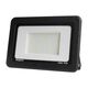 Proiector LED, negru, 100W, 6500K, IP65, Braytron