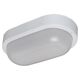 Plafoniera LED cu senzor de miscare, aplicata, ovala, alb, 18W, 4000K, IP54, Lumen