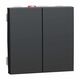 Intrerupator modular dublu Schneider, antracit, 2M, 10A, Noua Unica, NU321154