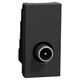  Priza modulara TV Schneider, antracit, 1M, tata, individuala, Noua Unica, NU346154