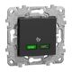 Priza modulara USB Schneider, antracit, 2M, incarcare rapida, tip C, Noua Unica, NU501454