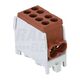 Clema de derivatie Tracon, 2P, fixare pe sina DIN, 16/25mmp, maro, FLECU-25-16-2B