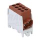 Clema de derivatie Tracon, 2P, fixare pe sina DIN, 25/25mmp, maro, FLECU-25-25-2B