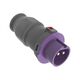 Stecher monofazic 24V, F-ELEKTRO, IP44, mobil, 2P, 16A, F7.0068