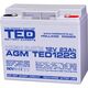 Acumulator 12V, AGM, VRLA, High Rate, F3 / M5, 23A, TED1223